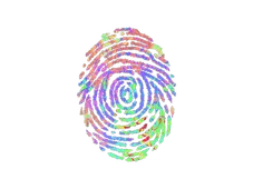 Sticker | Evidence (Holo)