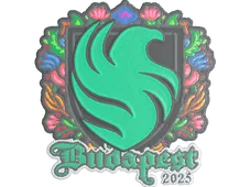 Skin's image