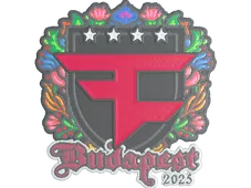 Skin's image