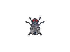 Sticker | Fruit Fly (Foil)