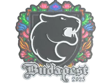 Skin's image