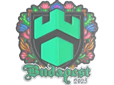 Skin's image