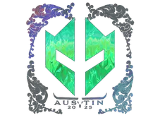 Skin's image