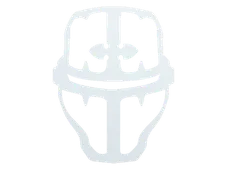 Skin's image