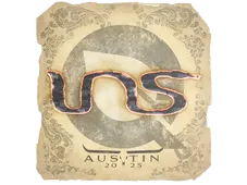 Skin's image