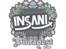 Skin's image