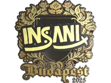 Skin's image