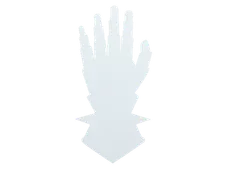 Skin's image