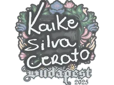 Skin's image