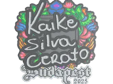 Skin's image