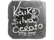 Skin's image