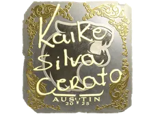 Skin's image