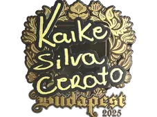 Skin's image