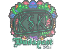 Skin's image