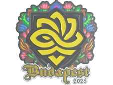 Skin's image