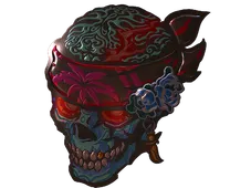 Skin's image