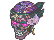 Skin's image
