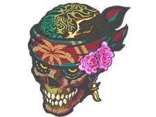 Skin's image