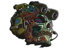 Skin's image