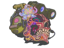 Skin's image