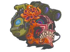 Skin's image