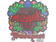 Skin's image
