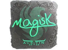 Skin's image