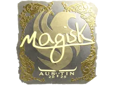Skin's image