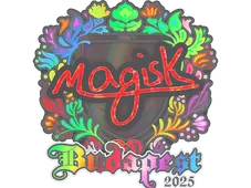 Skin's image