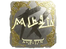 Skin's image