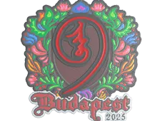 Skin's image