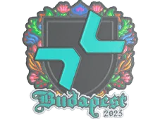 Skin's image