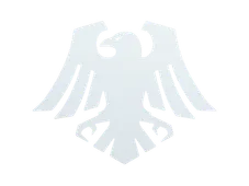 Skin's image