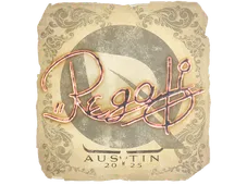 Skin's image