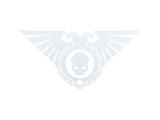 Skin's image
