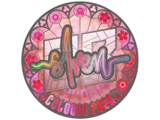 Skin's image
