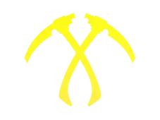 Skin's image