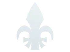 Skin's image