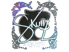 Skin's image