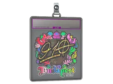 Sticker Slab | 910 (Holo) | Budapest 2025