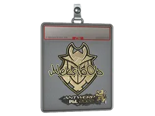 Sticker Slab | Aleksib (Gold) | Antwerp 2022