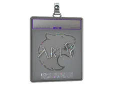 Skin's image