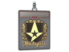 Sticker Slab | Astralis (Gold) | Budapest 2025