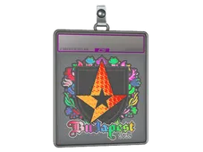 Sticker Slab | Astralis (Holo) | Budapest 2025