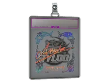 Sticker Slab | Attacker (Holo) | Austin 2025