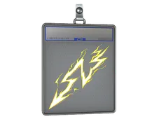 Skin's image
