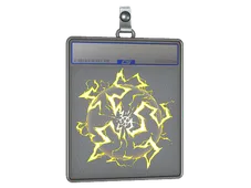 Skin's image