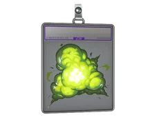 Skin's image