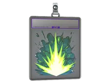 Skin's image