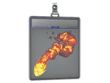 Skin's image